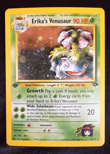 Erika's Venusaur, frente da carta